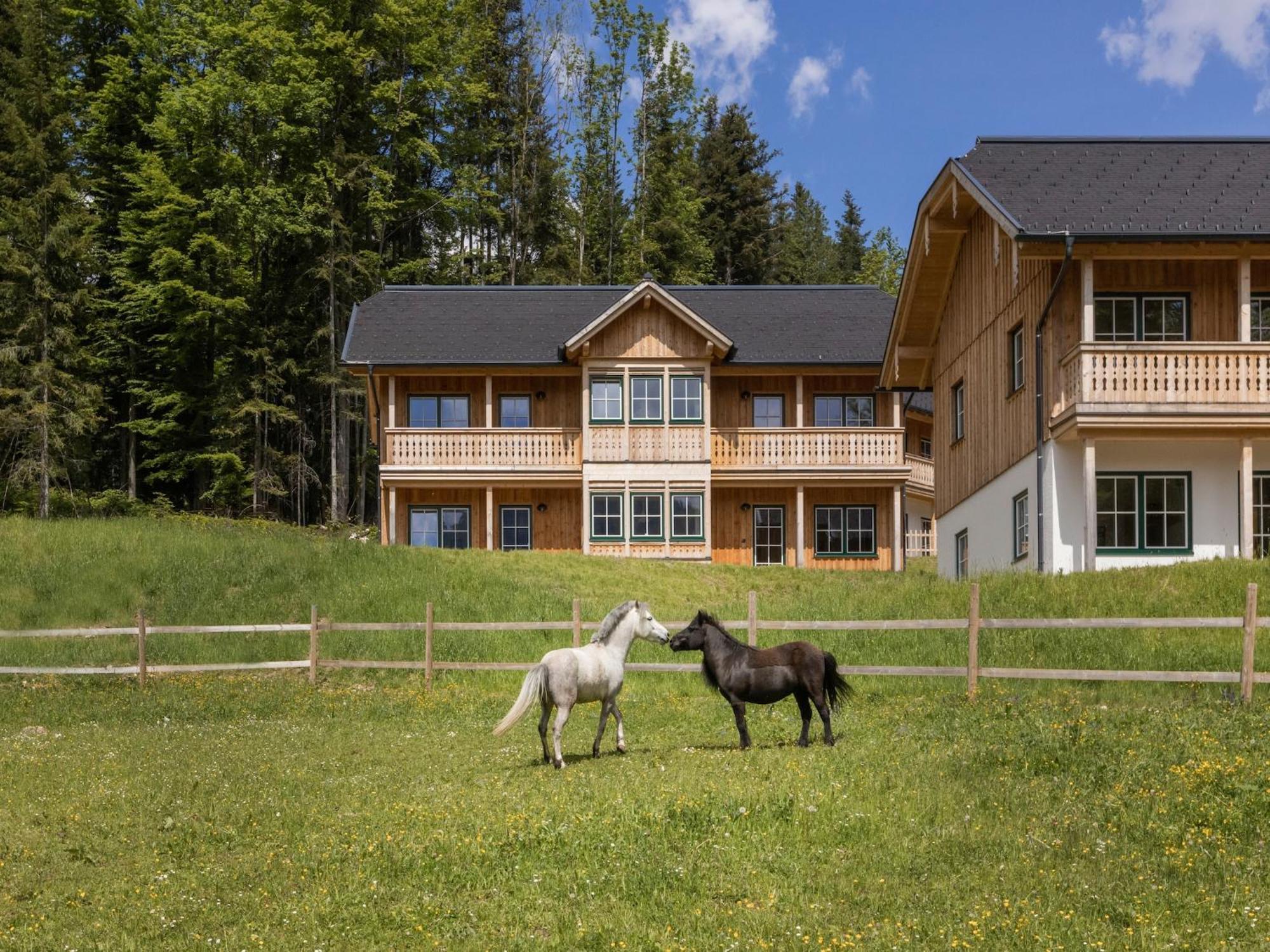 Exclusive Apartment With Sauna & Mountain Panorama Grundlsee Exterior photo